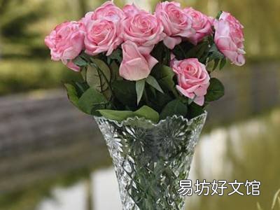 玫瑰花骨朵怎么晒干