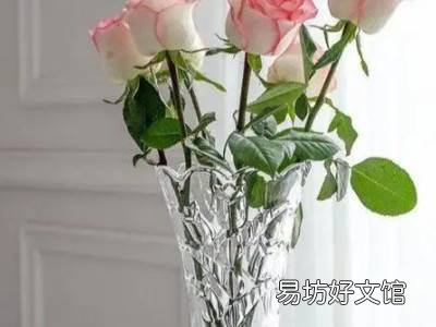 玫瑰花骨朵怎么晒干