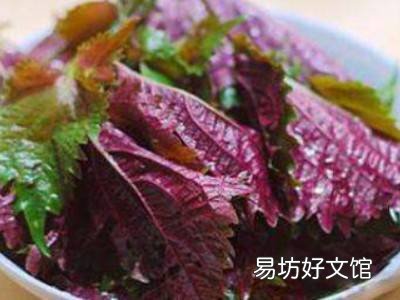 海螺蘸料汁怎么调