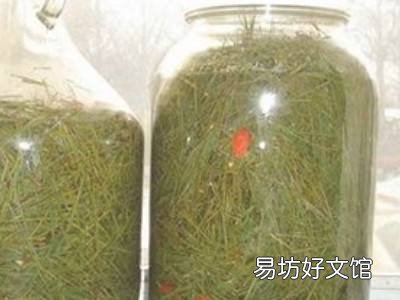 松针泡酒的正确制作方法