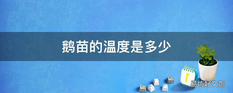 鹅苗的温度是多少