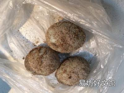 水泡盐蛋怎么做才翻沙出油