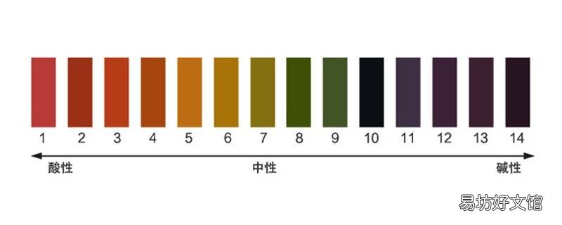 水的ph值怎么测