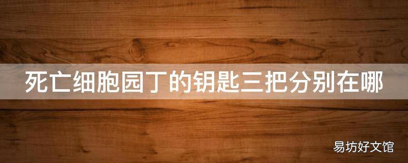 死亡细胞园丁的钥匙三把分别在哪