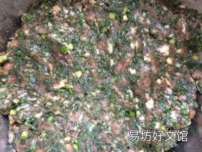 海蓬菜包子如何调馅