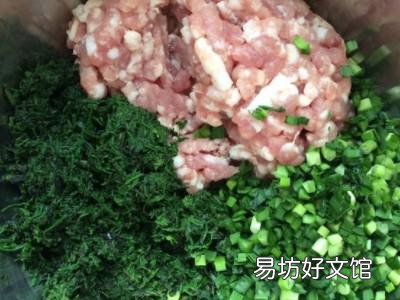 海蓬菜包子如何调馅