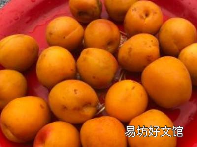杏干怎么制作