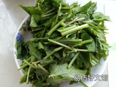 炒大叶芹的做法