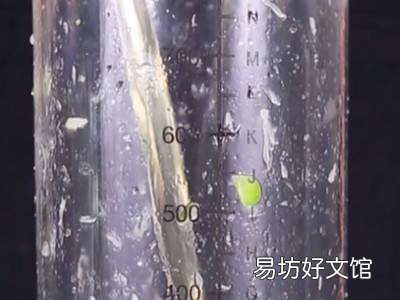 苦瓜柠檬茶怎么做