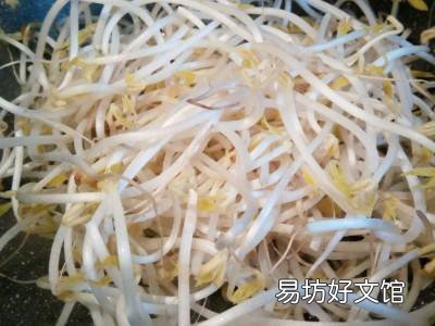 豆芽菜怎么做好吃