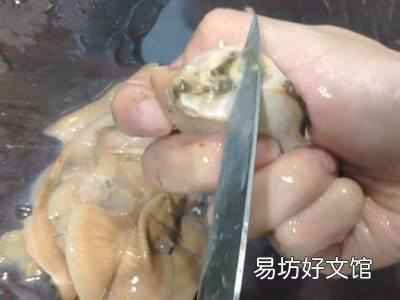 大河蚌怎么清洗干净内脏