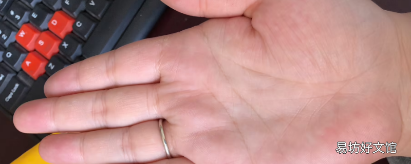 手掌宽约多少厘米