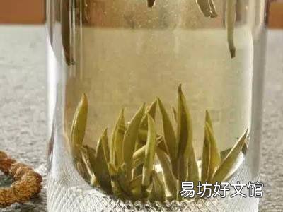 白毫银针如何冲泡
