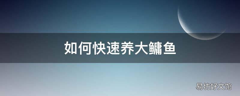 如何快速养大鳙鱼
