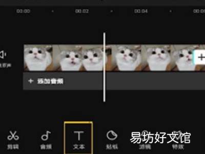 剪映怎么提取音频字幕