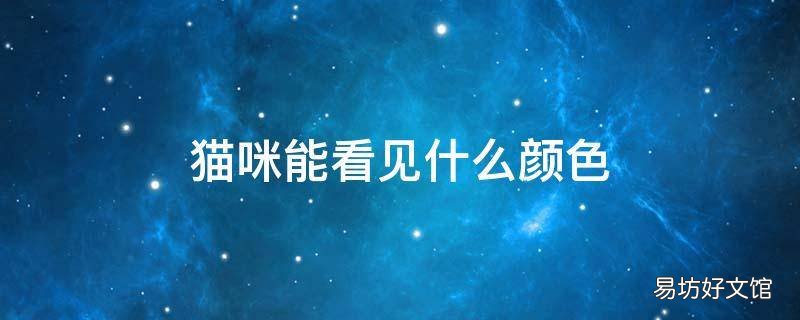 猫咪能看见什么颜色