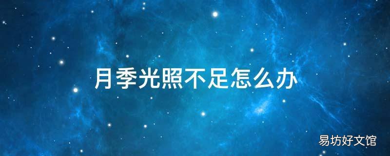 月季光照不足怎么办