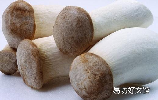 鸡腿菇有什么营养价值?