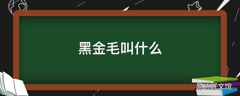黑金毛叫什么