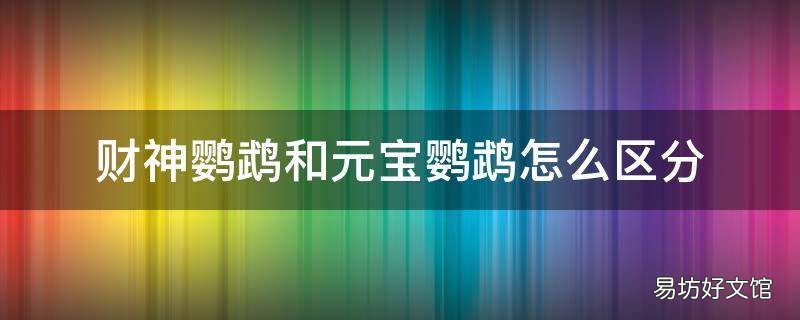 财神鹦鹉和元宝鹦鹉怎么区分