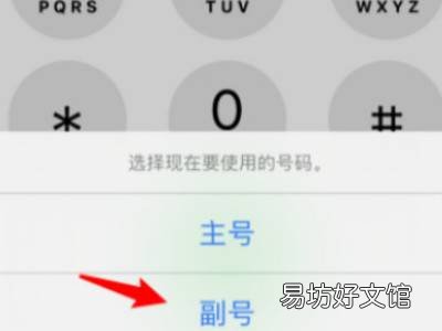 苹果13拨号怎么选择主副号