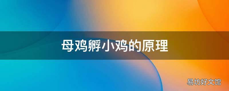 母鸡孵小鸡的原理
