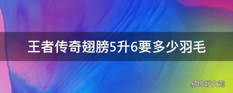 王者传奇翅膀5升6要多少羽毛
