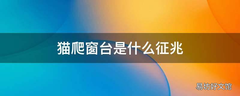 猫爬窗台是什么征兆