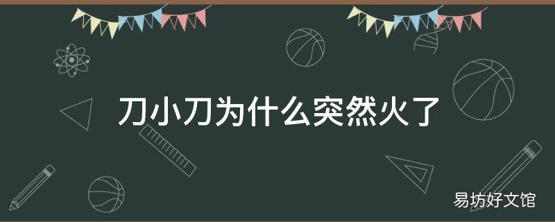 刀小刀为什么突然火了