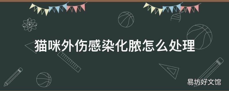 猫咪外伤感染化脓怎么处理