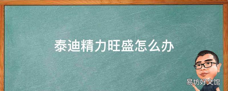 泰迪精力旺盛怎么办