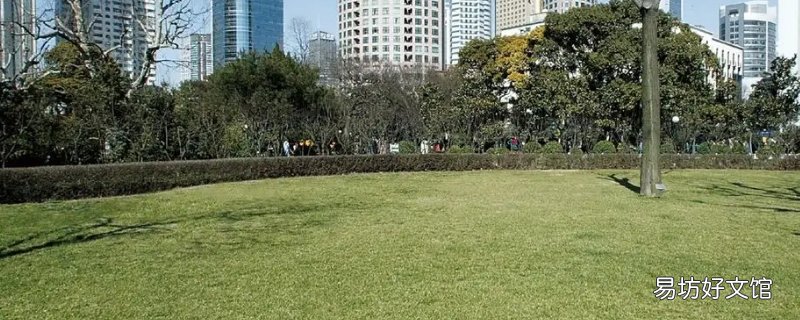 邵阳西苑公园可以钓鱼吗
