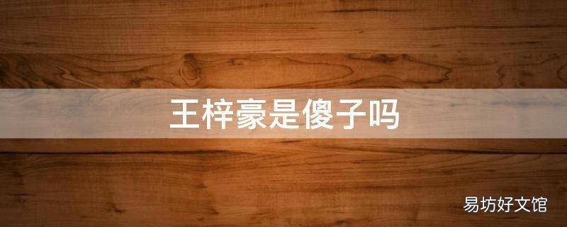 王梓豪是傻子吗
