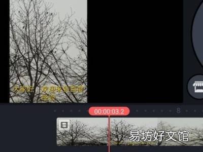 如何去视频里的文字