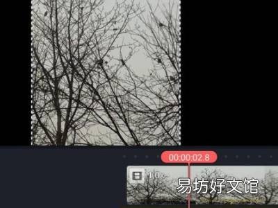 如何去视频里的文字