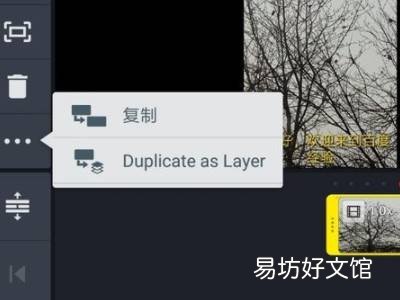 如何去视频里的文字