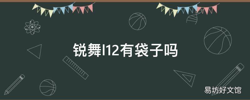 锐舞l12有袋子吗