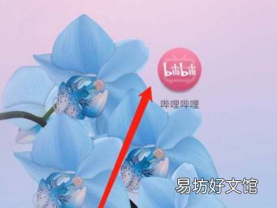 b站专栏怎么发布