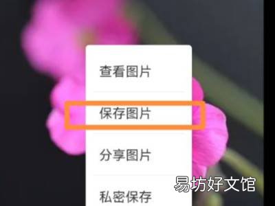 网页图片怎么保存