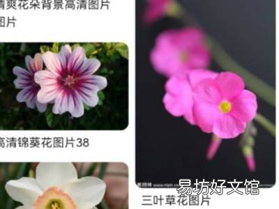 网页图片怎么保存