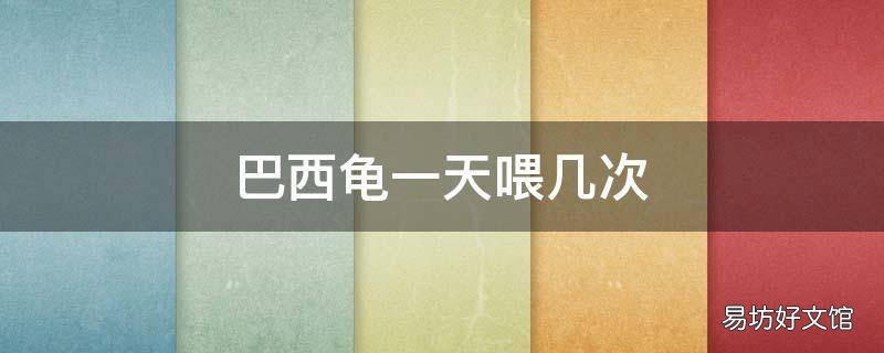 巴西龟一天喂几次