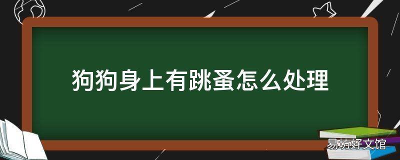 狗狗身上有跳蚤怎么处理