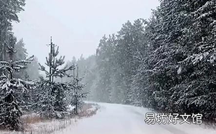 2023春节下雪是不是瑞雪