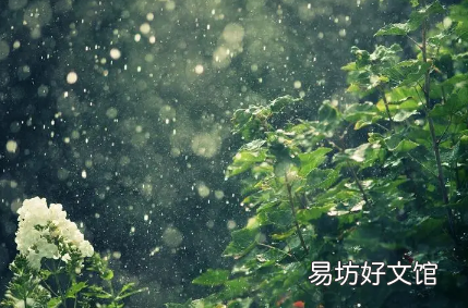 2023年是几龙治水