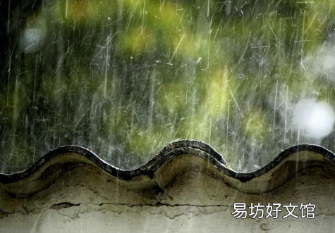 2023年是几龙治水