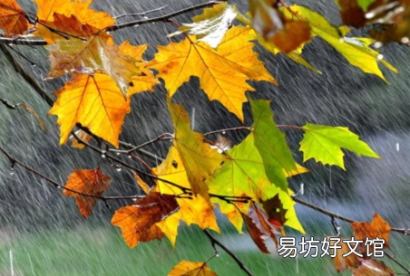 2023年是几龙治水