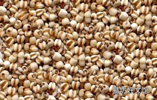 薏仁米有什么功效?薏仁米不宜过量食用