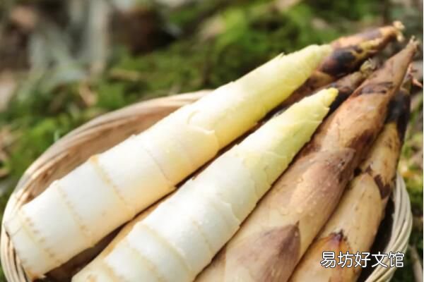 春笋是什么竹子的笋 种类较多如毛