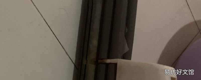 海绵拖把黑了怎么清洗