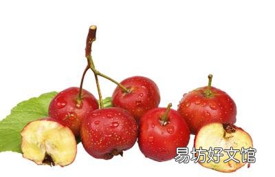 山楂功效强大 推荐4款食疗方